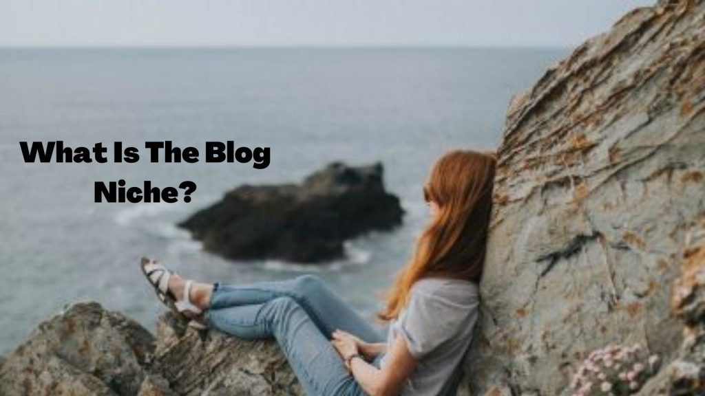 niche blogging ideas