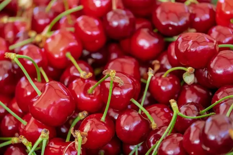 7 Best Fruits for a Diabetes Patient